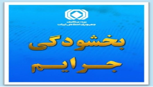 بیمه شهر